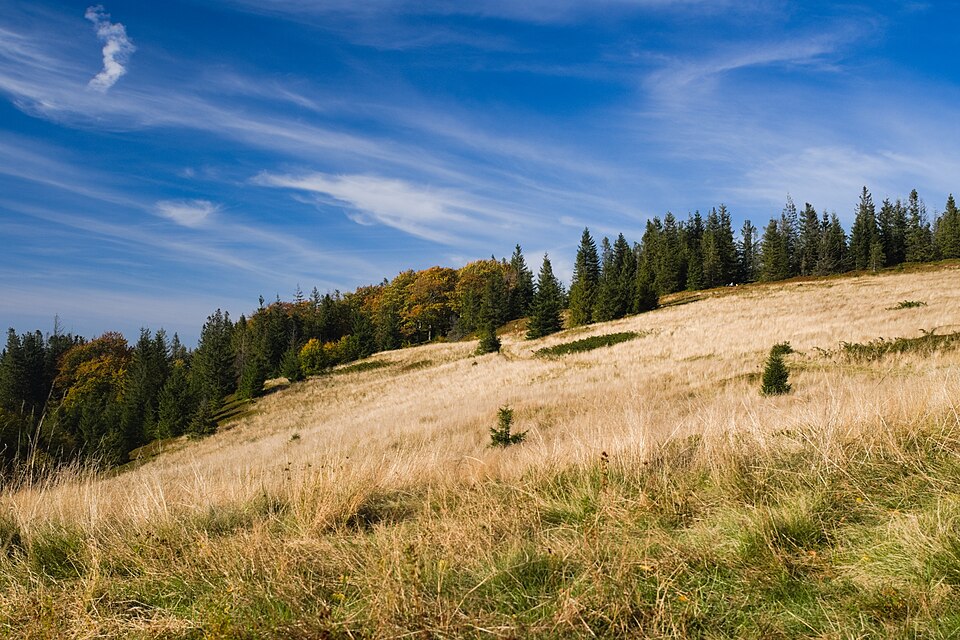 Hala Kamińskiego mountain pasture