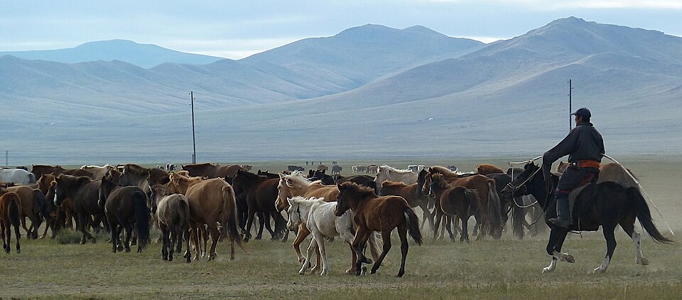 Horse breeders in Khustain Nuruu National Park (Mongolia)