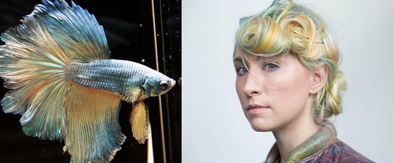 Betta Fish Hair Inspiration