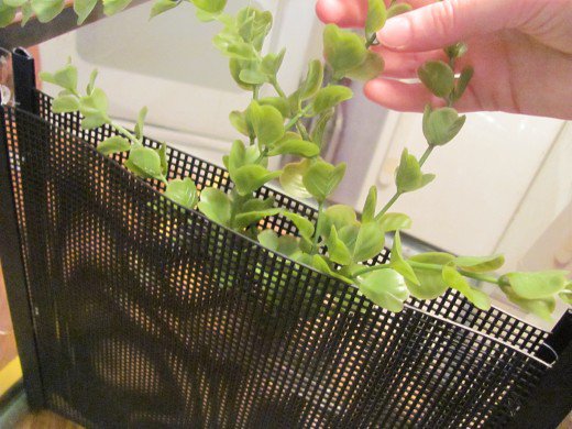 Double Betta Tank Divider with Center Compartment